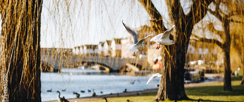 Peterborough Tourism - Waterfront Park